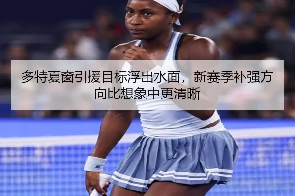 多特夏窗引援目标浮出水面，新赛季补强方向比想象中更清晰