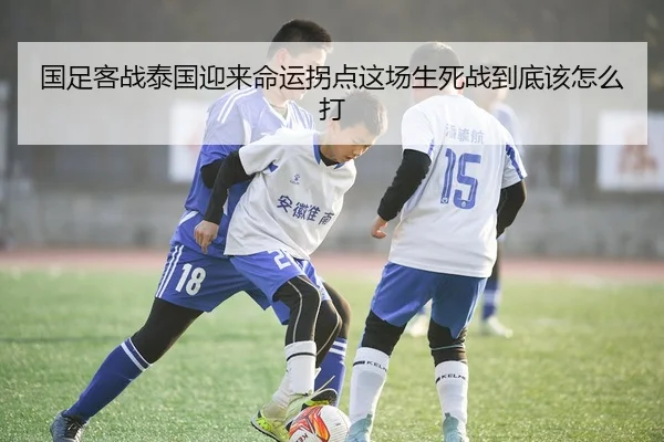 img_1780376440329_556_1_517.jpg